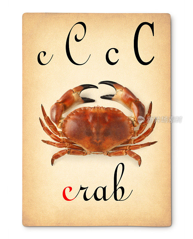字母C -螃蟹。老式的字母卡片。
